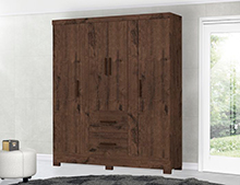  New Primordial Wardrobe